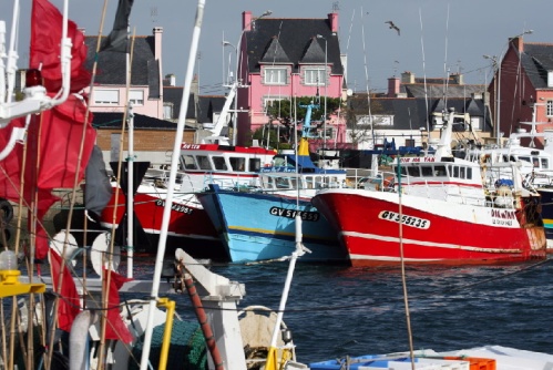 fishing boats, port guilvinec